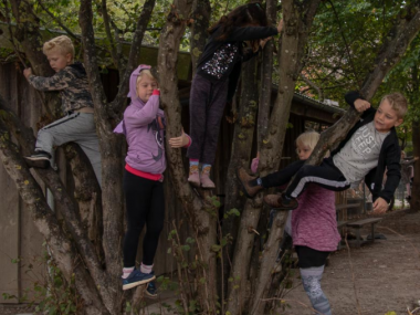fem Børn klatrer i et træ på legepladsen