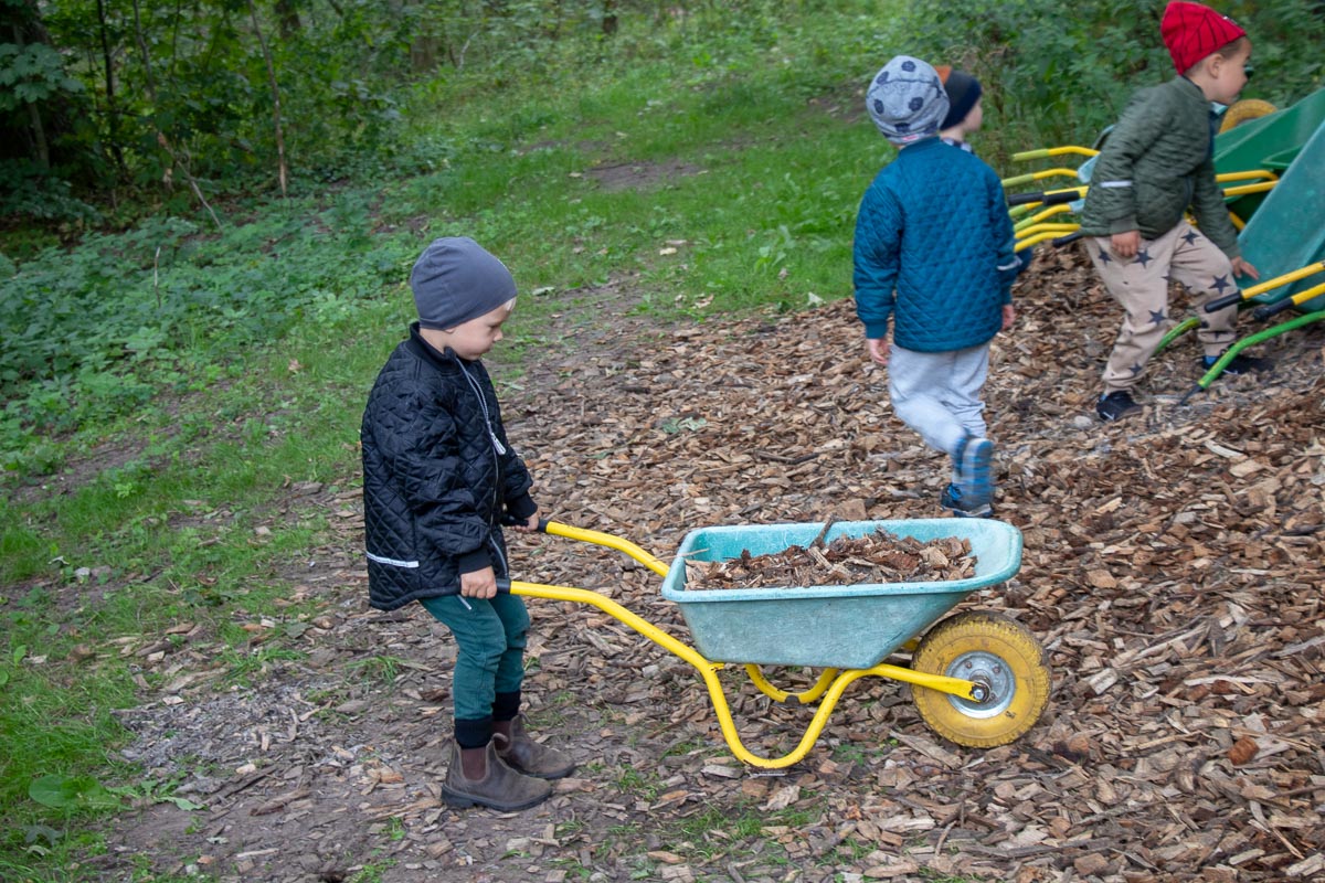 Børn som arbejder med trillebør i skovbørnehaven.