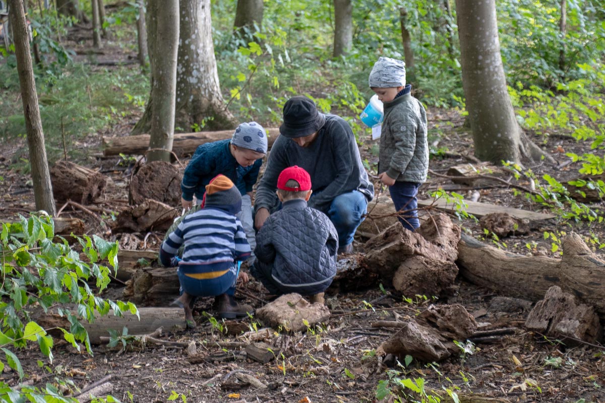 fem Børn og en pædagog undersøger et gammelt træ i skovbørnehaven.